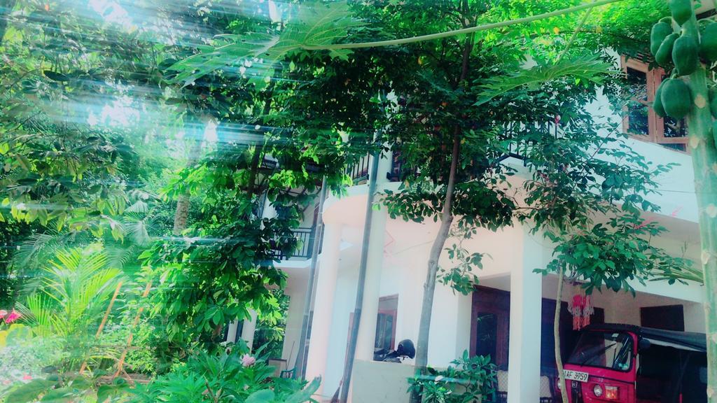 Mount Nature Villa Hikkaduwa Luaran gambar