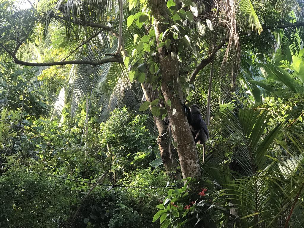 Mount Nature Villa Hikkaduwa Luaran gambar