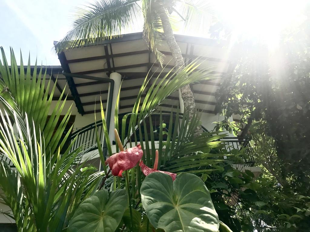 Mount Nature Villa Hikkaduwa Bilik gambar